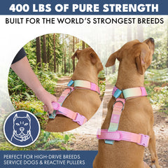 Comfort Control No-Pull Dog Harness - Pastel Icing