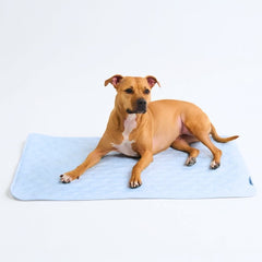 Frostcore™ Cooling Mat - Hearts Blue