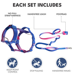 Comfort Control No-Pull Dog Harness and Multipurpose Leash Set - Snow Cone