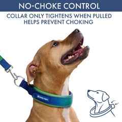 Martingale Collar and Multipurpose Leash Set - Lime Wave