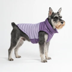 PuffShield Winter Jacket - Purple