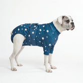 Dog Surgical Suit - Stars