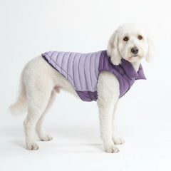 PuffShield Winter Jacket - Purple