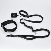 Comfort Control Collar and Multipurpose Leash Set - Black