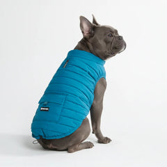 WarmShield Water-Resistant Jacket - Teal