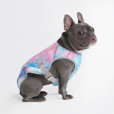 Chilltech™ Dog Cooling Vests