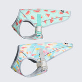 Dog Cooling Vest (2-pack) - Popsicles & Watermelon