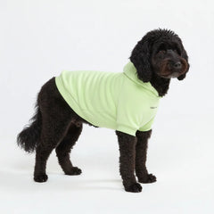 Essential Dog Hoodie - Honey Dew