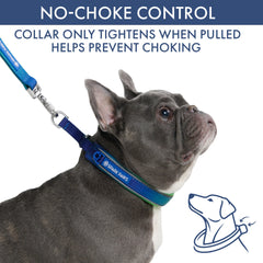 Martingale Collar and Multipurpose Leash Sets