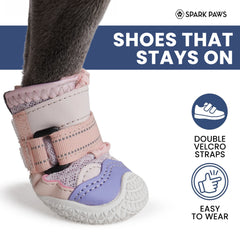 Hot Pavement Pawtector Dog Shoes - Pink Purple