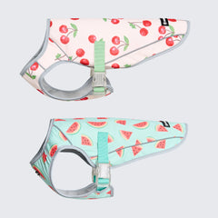 Dog Cooling Vest (2-pack) - Cherries & Watermelon