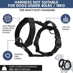 Comfort Control No-Pull Dog Harness and Multipurpose Leash Set - Black