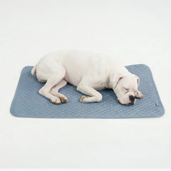 Frostcore™ Cooling Mat - Ash Blue