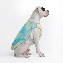 Dog Cooling Vest - Tropical Storm