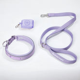 Martingale Collar Set - Lilac