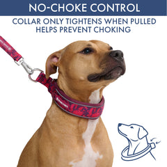 Martingale Collar and Multipurpose Leash Set - Fuchsia Camo