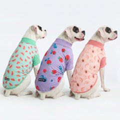 Sunblock Dog T-Shirt (3-pack) - Watermelon, Berries, Peaches