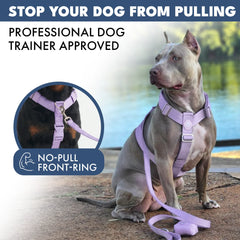Comfort Control No-Pull Dog Harness Set - Lilac