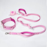 Comfort Control Collar and Multipurpose Leash Set - Pink