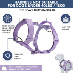 Comfort Control No-Pull Dog Harness and Multipurpose Leash Set - Purple