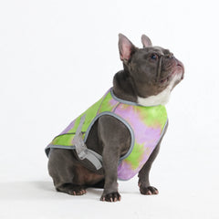 Dog Cooling Vest - Neon Purple