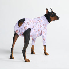 Dog Surgical Suit - When Pigs Fly