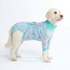 Dog Surgical Suit - Dragons