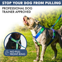Comfort Control No-Pull Dog Harness - Lime Wave
