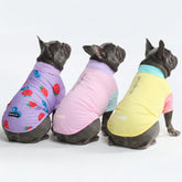 Sunblock Dog T-Shirt (3-pack) - Gelato, Yuzu, Berries