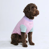 Sunblock Dog T-Shirt - Color Block
