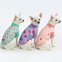 Sunblock Dog T-Shirt (3-pack) - Watermelon, Berries, Peaches