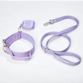 Comfort Control Collar Set - Lilac