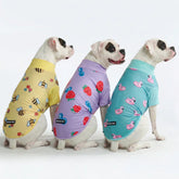 Sunblock Dog T-Shirt (3-pack) - Bees, Flamingo, Berries