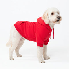 Essential Dog Hoodie - Crimson Red