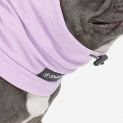 Anxiety Calming Dog Earmuff Protector - Purple