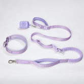 Martingale Collar and Multipurpose Leash Set - Lilac