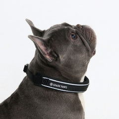 Cushioned Martingale Collar - Black