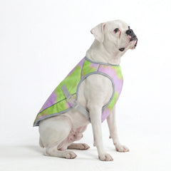 Dog Cooling Vest - Neon Purple