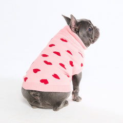 Hearts Knit Dog Sweater