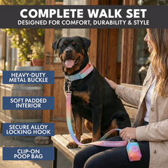 Comfort Control Collar Set - Pastel Icing