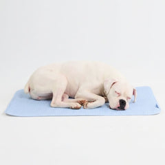 Frostcore™ Cooling Mat - Waffle Blue