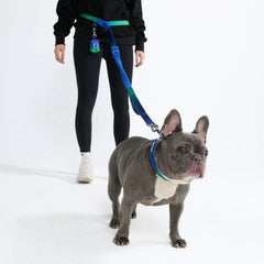 Multipurpose Seatbelt Handsfree Leash & Poop Bag Holder Set - Lime Wave