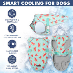 Dog Cooling Vest (2-pack) - Popsicles & Watermelon