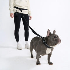 Multipurpose Seatbelt Handsfree Leash & Poop Bag Holder Set - Black