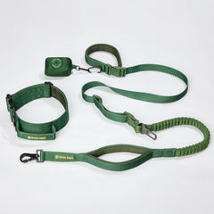 Comfort Control Collar and Multipurpose Leash Set - Green