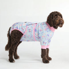 Dog Surgical Suit - Butterfly