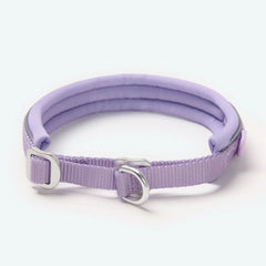 Cushioned Martingale Collar - Lilac