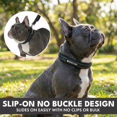 Martingale Collar Set - Black