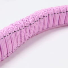 Multipurpose Seatbelt Handsfree Leash & Poop Bag Holder Set - Pastel Icing