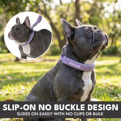 Martingale Collar and Multipurpose Leash Set - Lilac